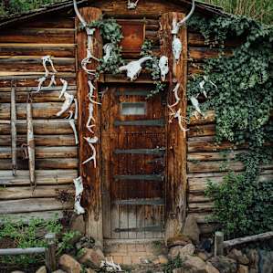 This root cellar may or may not be a great spot for self portraits...