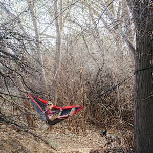 tons of hammocking opportunities