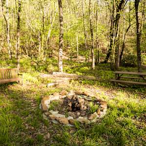 Firepit, bench, picnic table...everything you need.