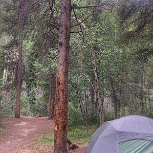 Collegiate Peaks Campground