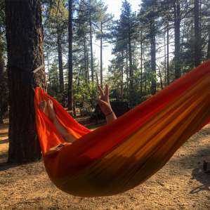 Idyllwild Campground, Mount San Jacinto, CA: 11 Hipcamper Reviews And ...
