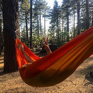 Lots of trees to hang your hammocks from