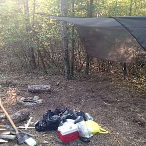 Pitch Pines Camp