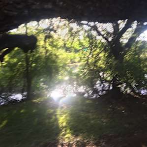 Morning sun off the water right by the footbridge