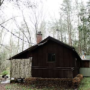cabin forest lodging