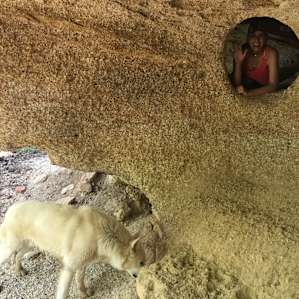 Theres some fun caves to explore and enjoy a picnic.