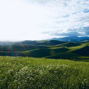 Rolling Hills