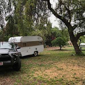 spot under the tree