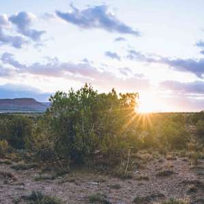 Sunrise was so incredible at Heart of Parks.