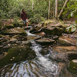 Rivers run throughout the property! One of the many hiking areas.
