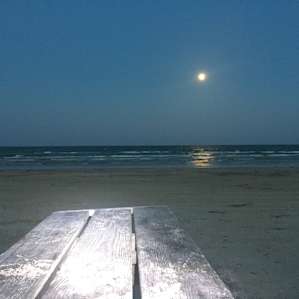Moon rising