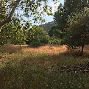 Turtle Flat Tent Camp