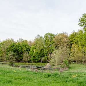 There is also a pond just a short walk from the campsite that is very beautiful and nice to enjoy, sitting by the pond and talking, relaxing, etc.