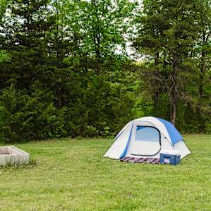 tent forest lodging