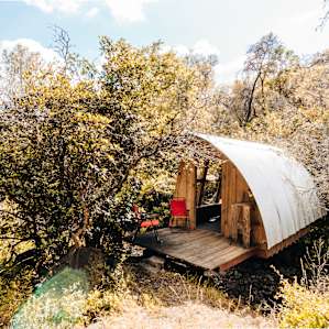 cabin forest lodging