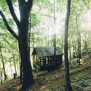 cabin forest lodging