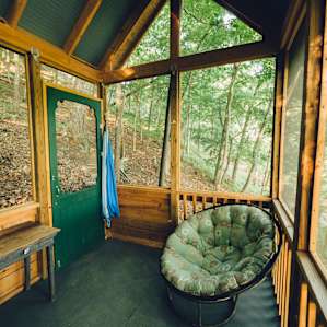 cabin forest lodging
