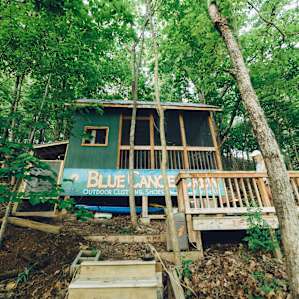 cabin forest lodging