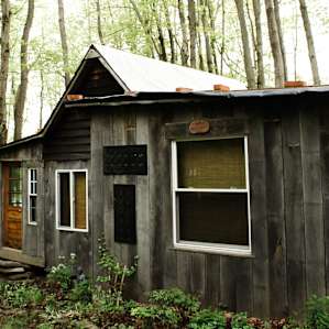 cabin forest lodging
