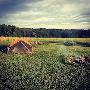 Meadow Land
