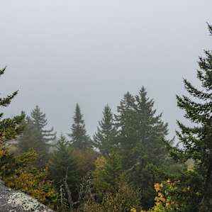 View from the Elmore Mountain Fire Tower Trail.