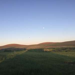 Palouse Stargazing TentCamp-Walk-In