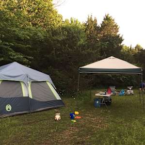 Plenty of room to play!