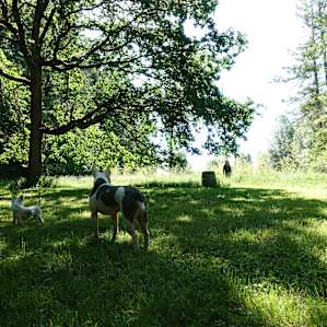 The meadows behind the campsite leading to the parking spot and bathrooms.