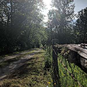 Pondside at When Pigs Fly Farm