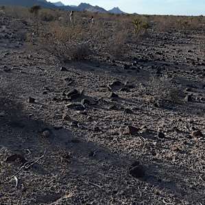 Yaqui Offgrid Camping