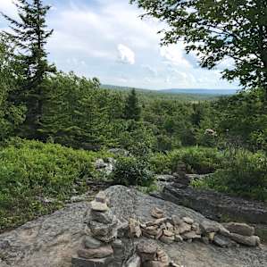 Blackbird Knob Trail near the Red Creek Campground