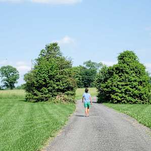 The long driveway in.