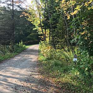 Site 27