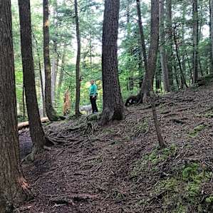 Hiking trail around Hapgood Pond