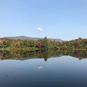 Leaves just starting to change color at Hapgood Pond in mid-September.