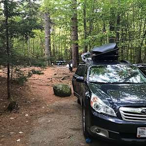 Site 26. $22 in fall of 2017.