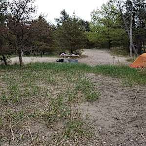 Site G