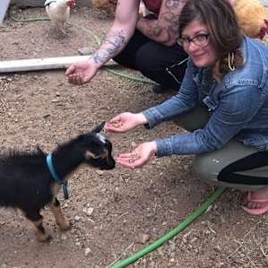 High Desert Look Out & Baby Goats!