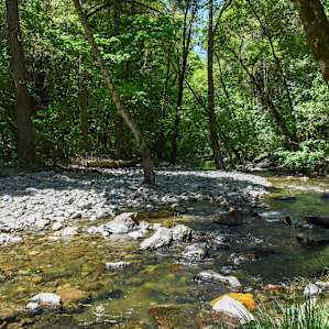 Creek by group site #14