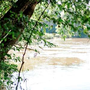 Take a stroll down to the river.
