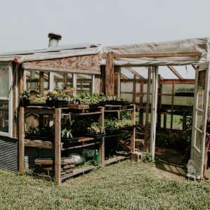 Mean Green's Farm