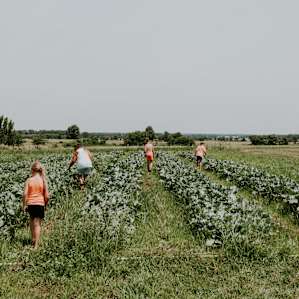 farm