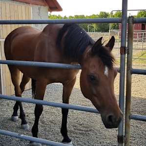 Sterling Creek Ranch
