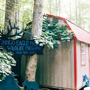 Waterfall Haven Camping