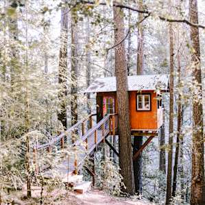 The beautiful treehouse upon arrival