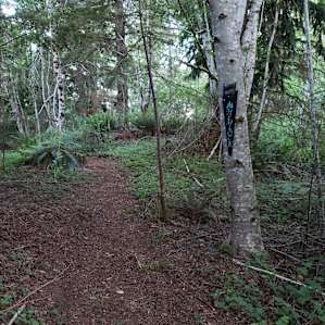 Hemlock, 124 Acre Farm Wetlands