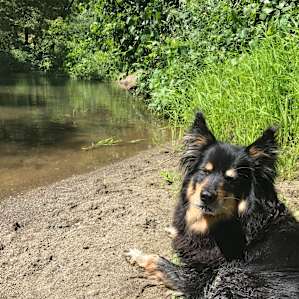 Sunbathing at the swimming hole down the road.