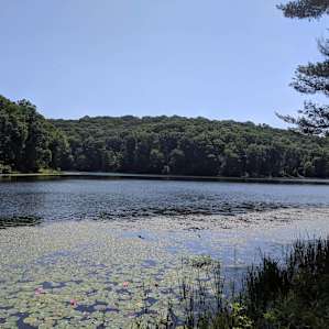Lake Hope-Furnace Trail