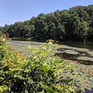 Lake Hope Campground