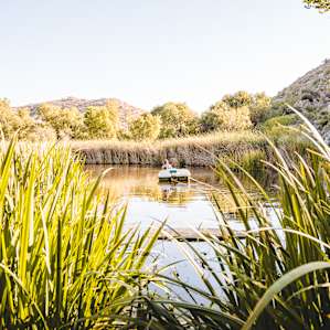 The pond with the pedalboat was absolutely incredible, and in the heart of the desert too!